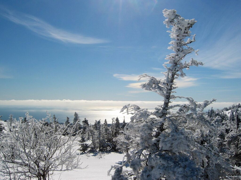 Acadia National Park picture