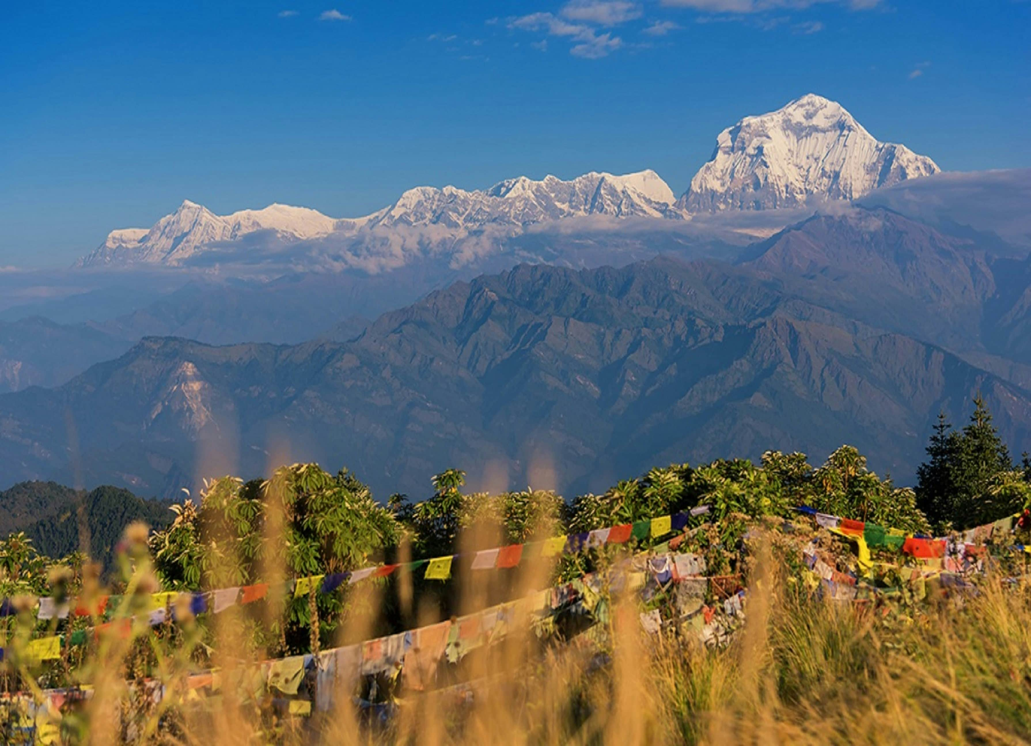 ghorepani poonhill best treks in nepal